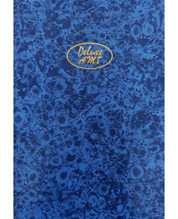 DELUXE AMT CLEAR FILE 20 PKT - FVC020